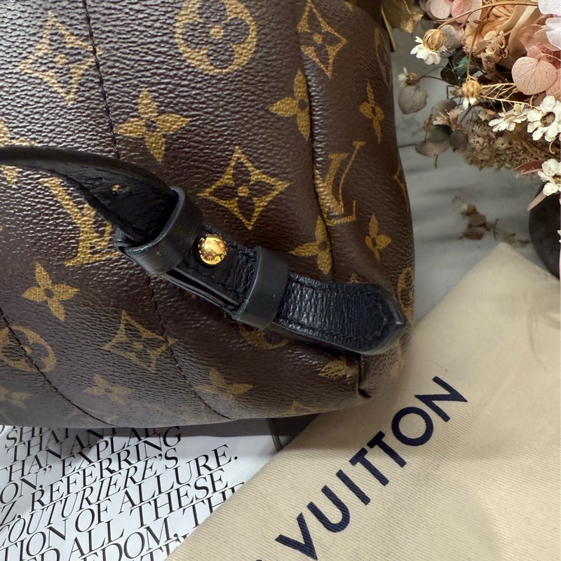 🎒✨LV 路易威登｜Palm Springs 老花背包 PM 雙肩背包 軟墊✨🎒-9