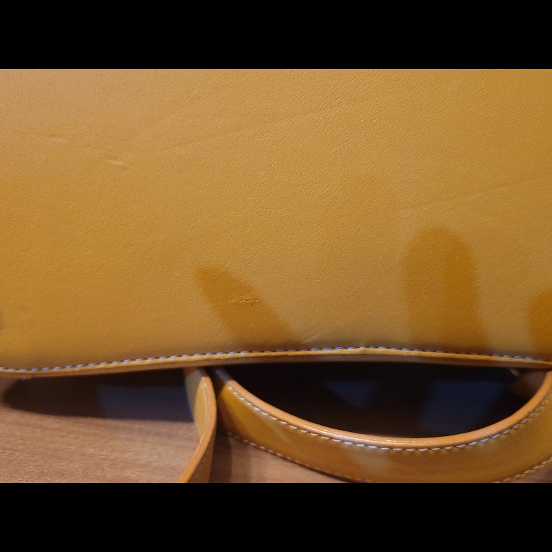 Loewe鮮亮黃 小牛皮 後背包 極新-13