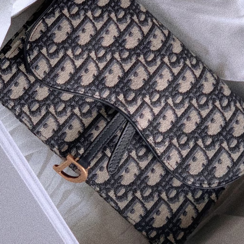 Dior老花大號鏈條包-27