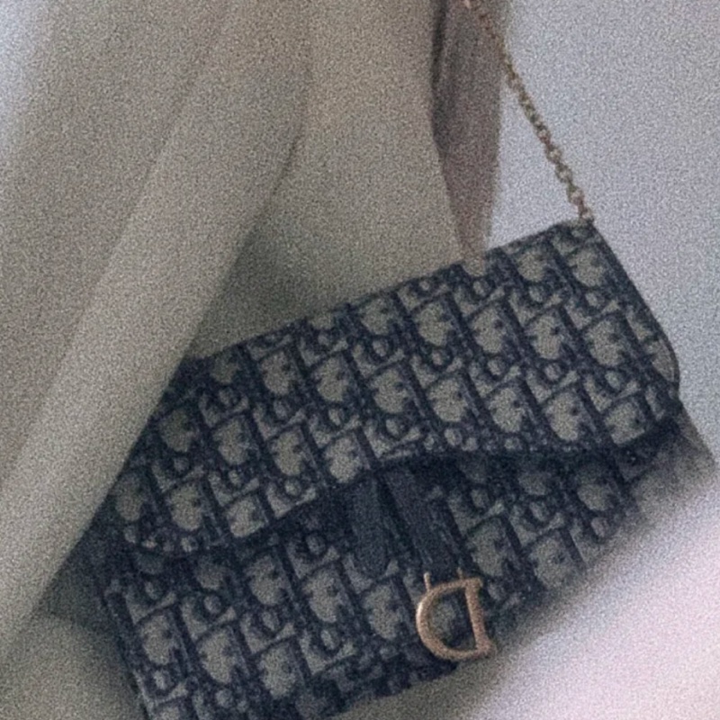 Dior老花大號鏈條包-28