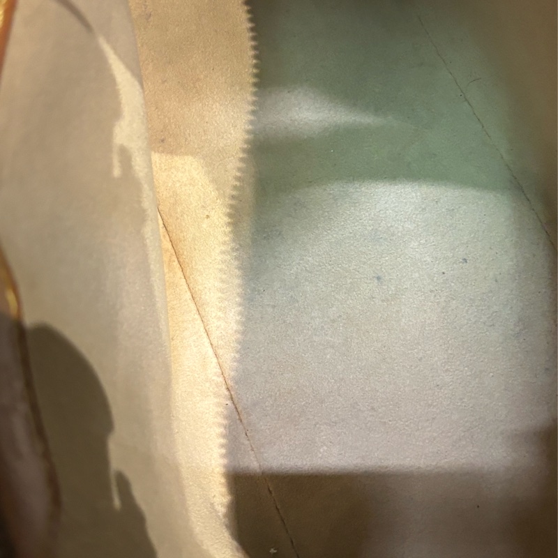 🏷️ LOUIS VUITTON王菲包-38