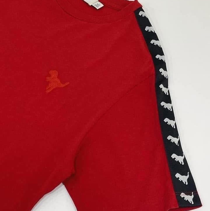 美國COACH 刺繡恐龍長版T-6