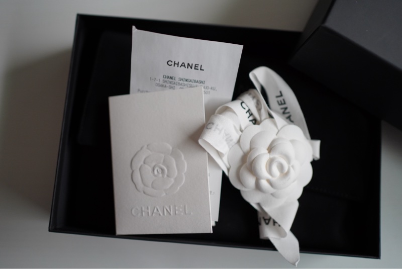 香奈兒CHANEL leboy woc 荔枝牛皮黑銀-1