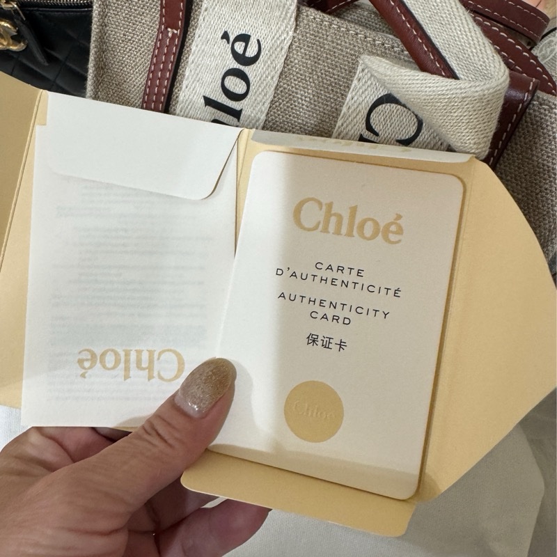 Chloe Woody tote bag 帆布迷你兩用-24