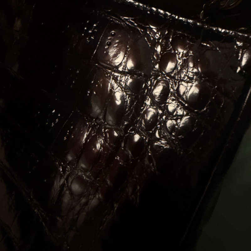 過年優惠大降兩萬 古董收藏品 Chanel 絕版鱷魚皮 24k鏈條-11