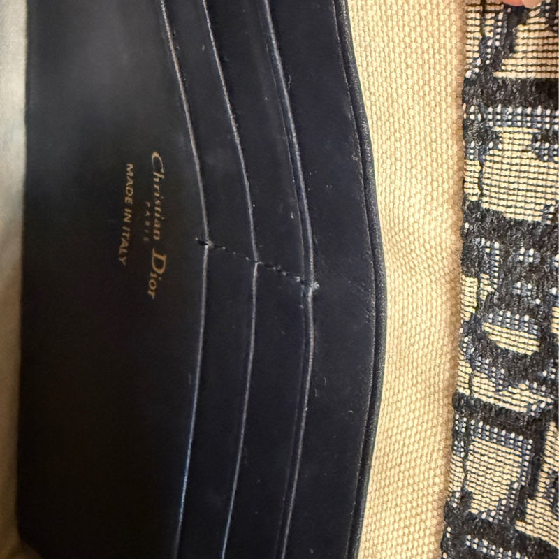 Dior Oblique Canvas Saddle Wallet on Chain Bag-22