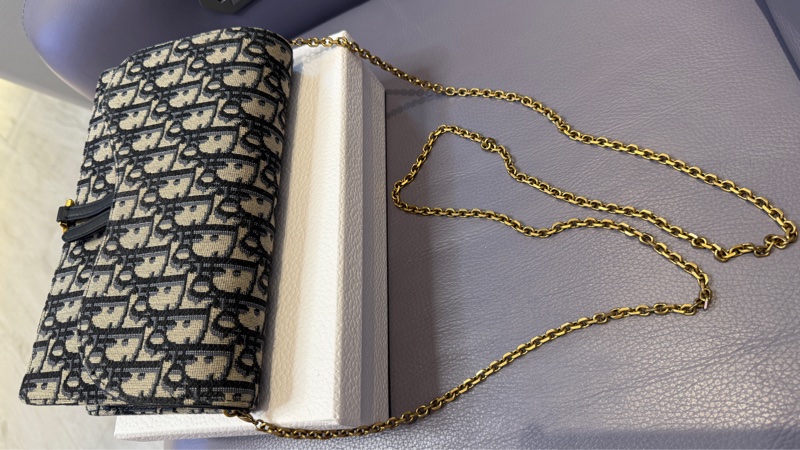 Dior Oblique Canvas Saddle Wallet on Chain Bag-23