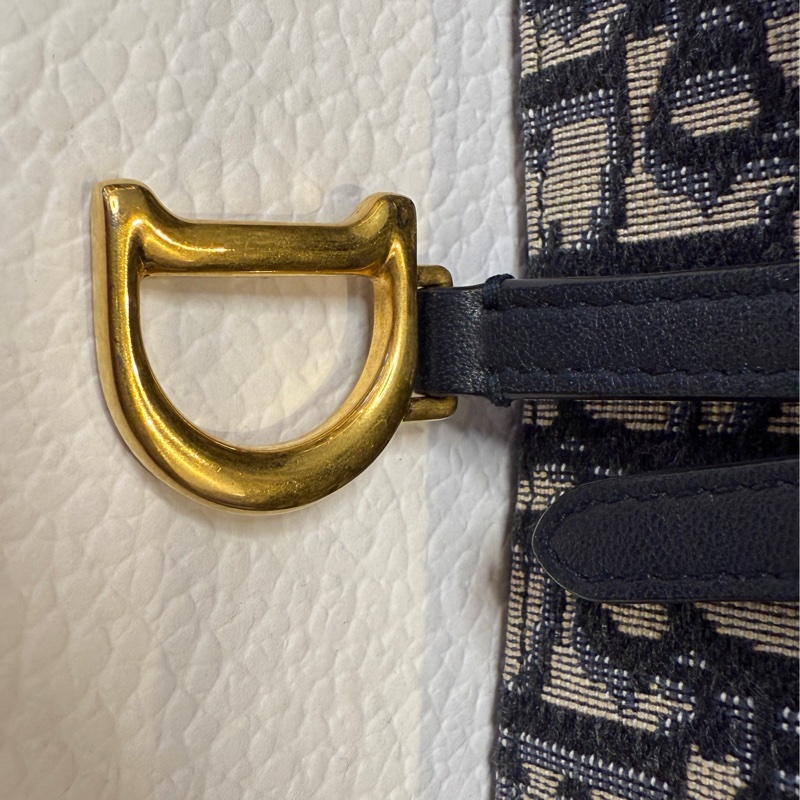 Dior Oblique Canvas Saddle Wallet on Chain Bag-26