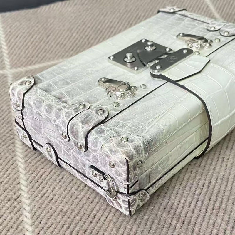 路易威登 Louis Vuitton Petite Malle 喜馬拉雅大盒子🐊,雪山之顛box 芯片款-5