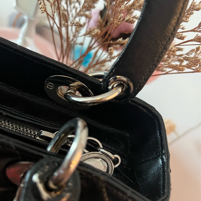 DIOR 小羊皮五格黛妃包-49