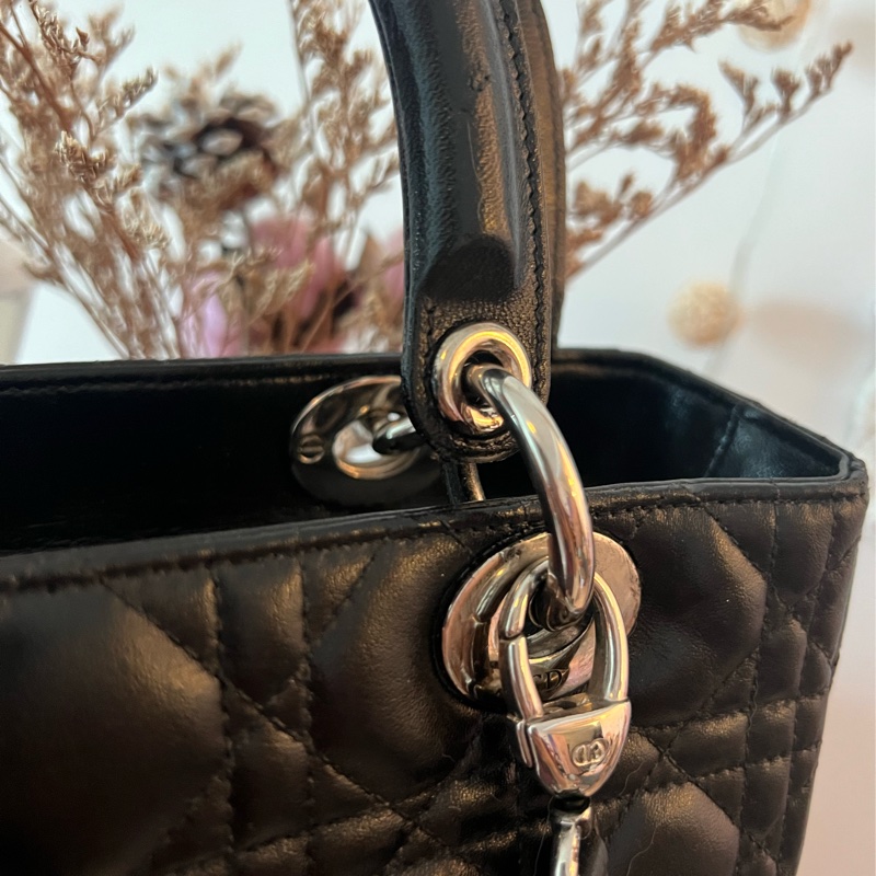 DIOR 小羊皮五格黛妃包-50