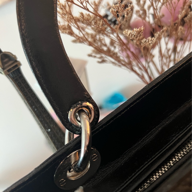 DIOR 小羊皮五格黛妃包-52