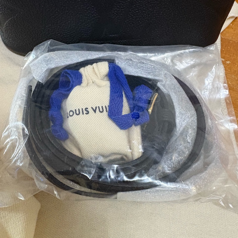 LV全新壓紋肩背包-5