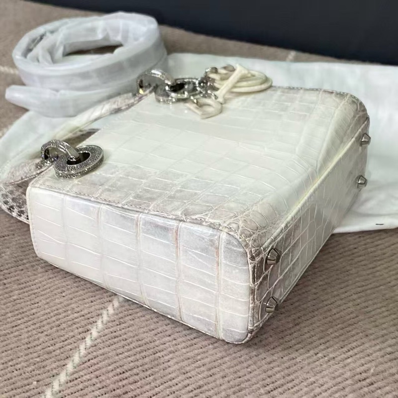 Dior迪奧三格喜馬拉雅琺瑯扣拼鑽扣戴妃包，2022購入-10