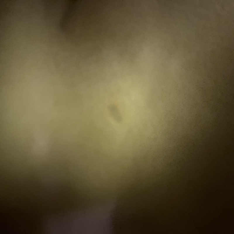 限中午前下單)LV 肩背包 單肩 寬背帶 m56382 無附件-21