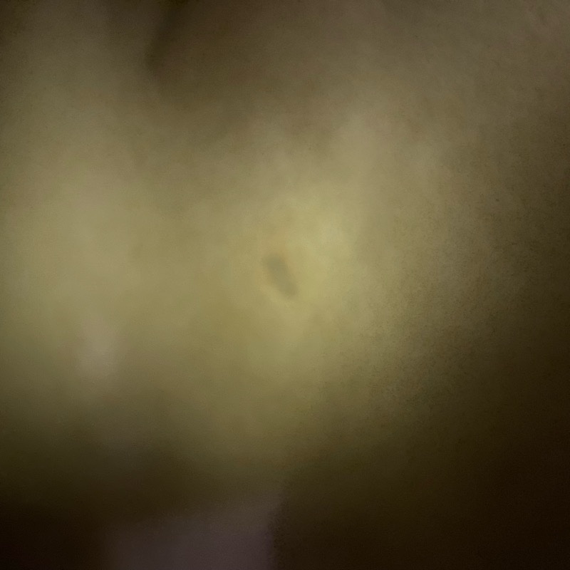 限中午前下單)LV 肩背包 單肩 寬背帶 m56382 無附件-27