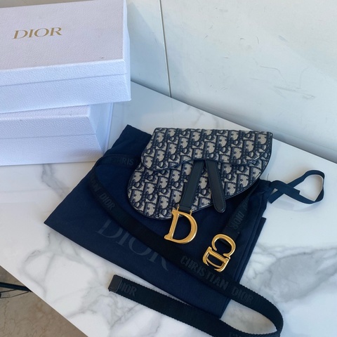 Dior 馬鞍包