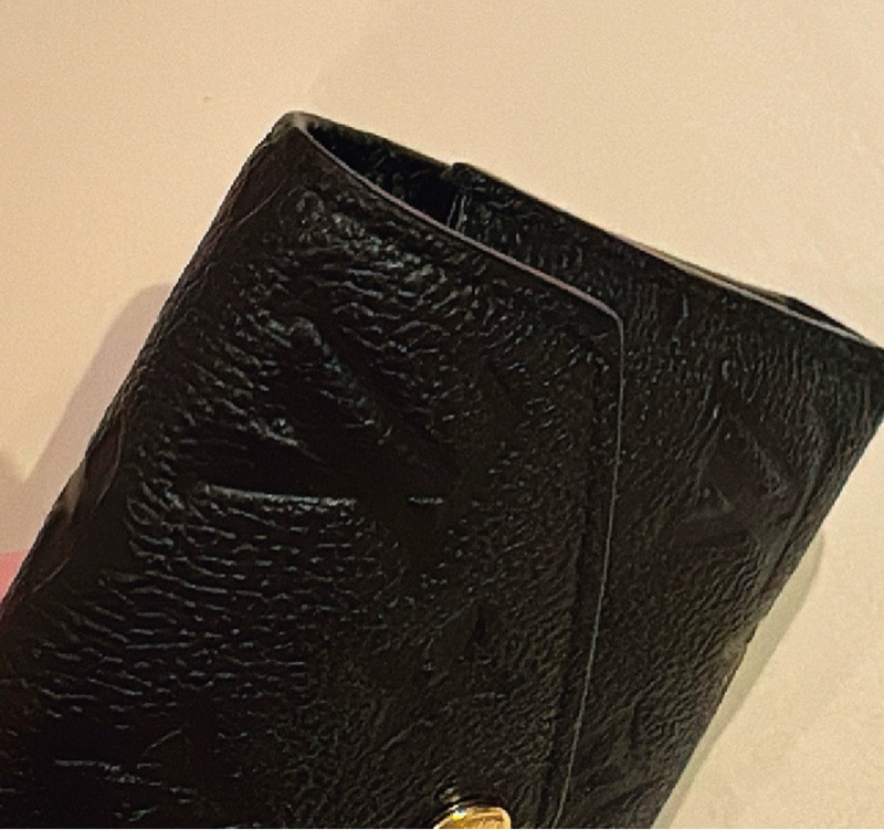 Louis Vuitton Victorine-9