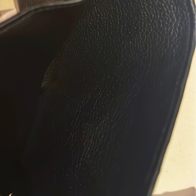 Louis Vuitton Victorine-12