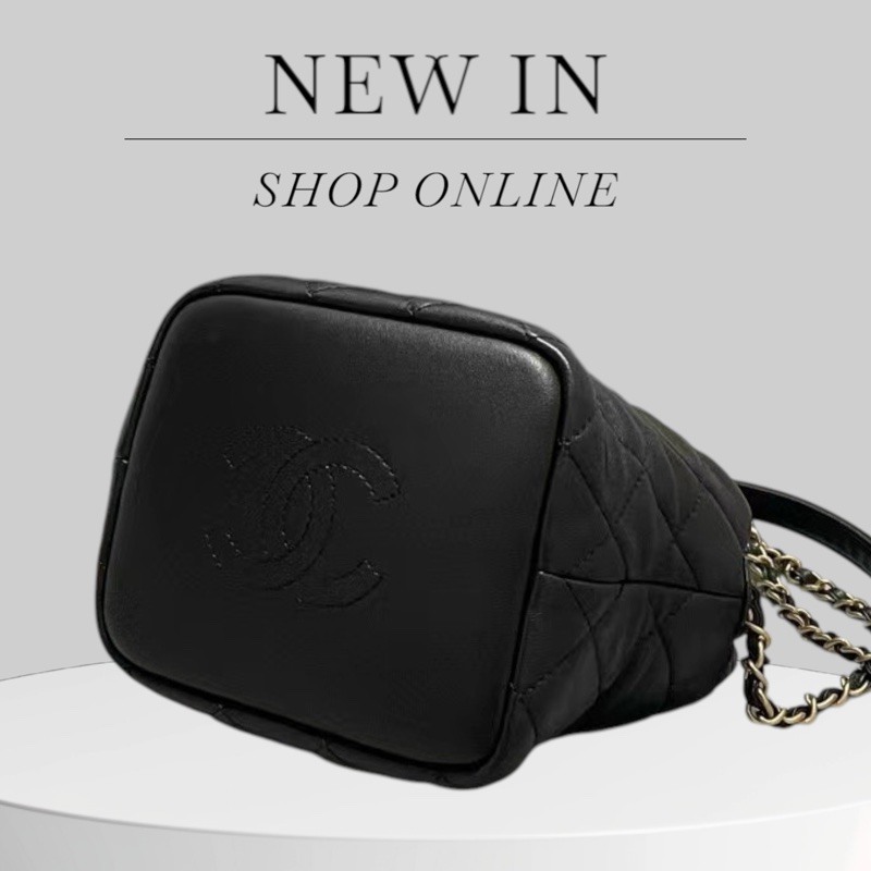 Chanel hobo small飯盒包-5