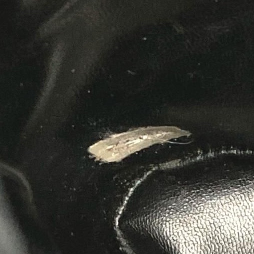 💝FuFu.Style ⟡.·* Chanel 魚子醬皮雙肩包-34