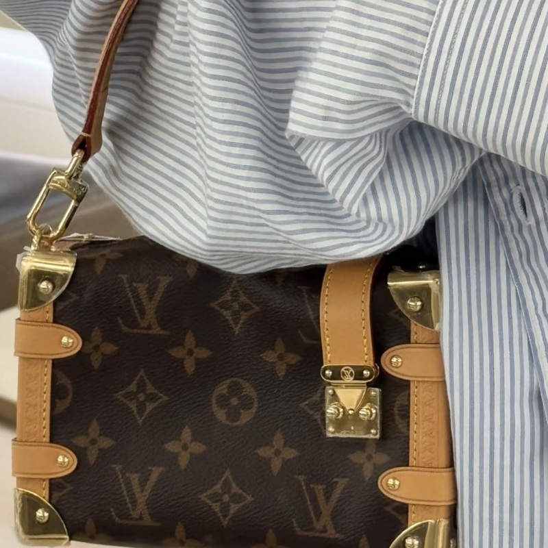 Lv老花盒子包sideTrunk軟盒子包小號M46815-3