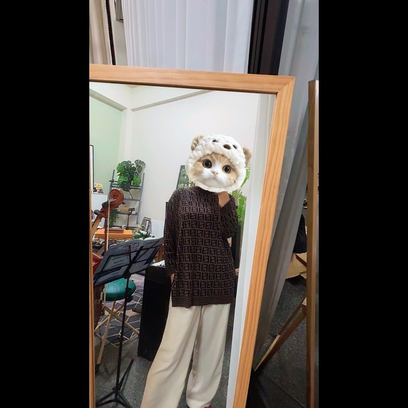 FENDI 芬迪 老花上衣毛衣-15