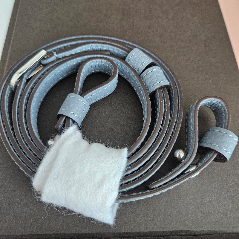 德尔沃delvaux经典coolbox  Nano尺寸-12