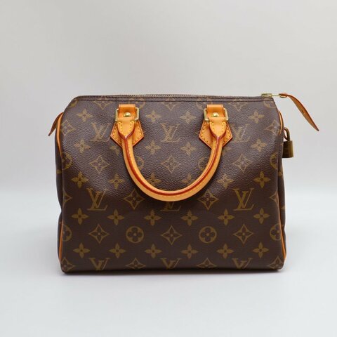 LOUIS VUITTON Speedy 25