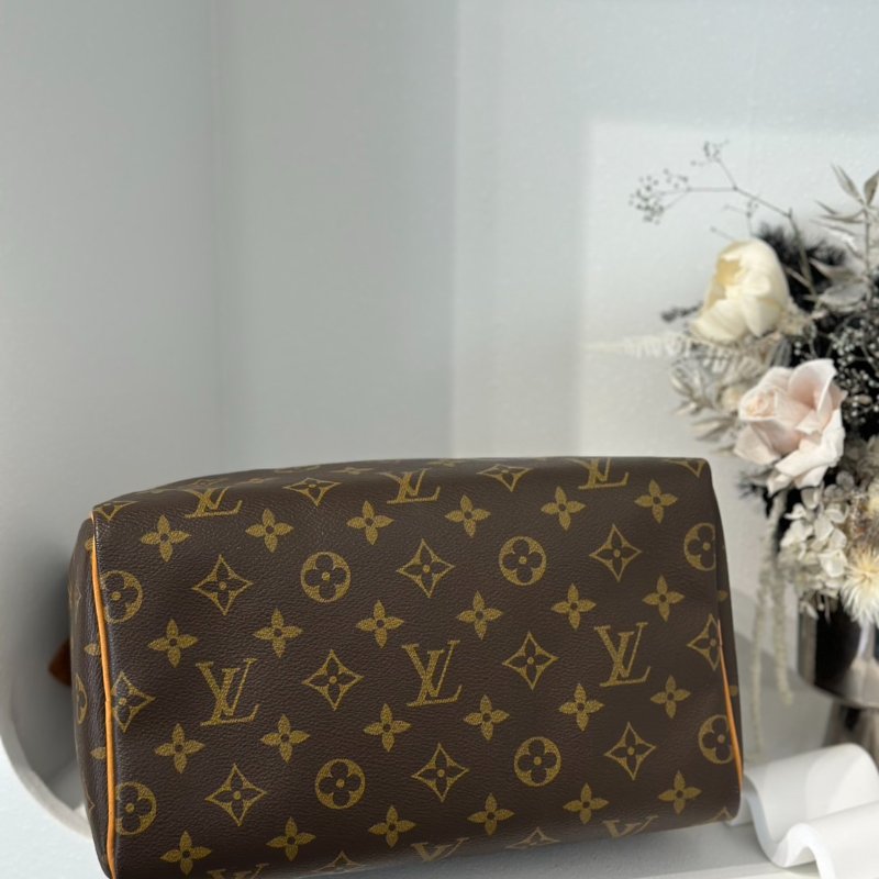 LOUIS VUITTON Speedy 25-2