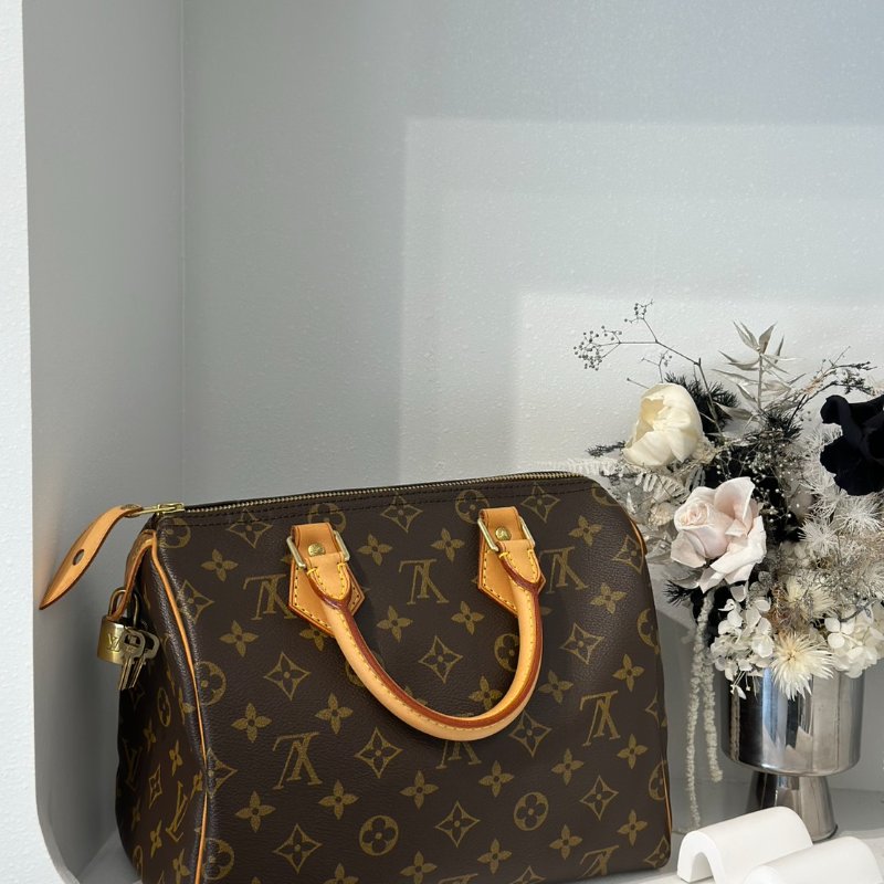 LOUIS VUITTON Speedy 25-7