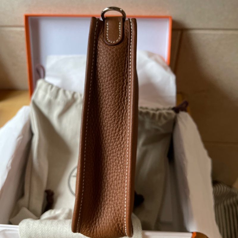 Hermes mini evelyn-6