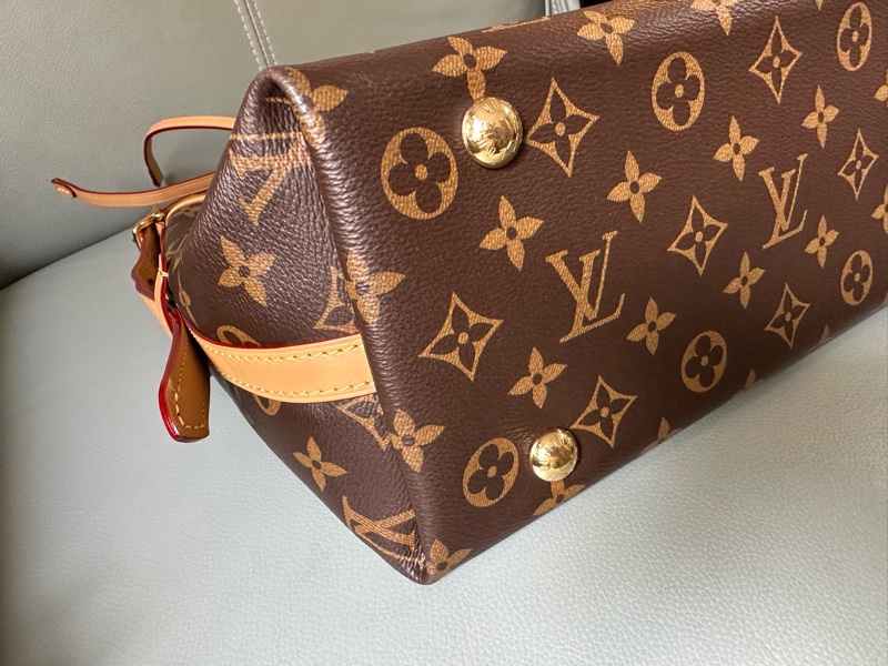 📍LV路易威登Carryall小號 23年票-5