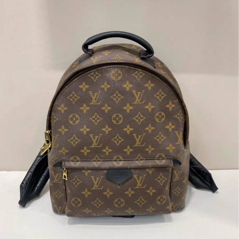 Louis Vuitton • Palm Springs系列 MM 中號-5
