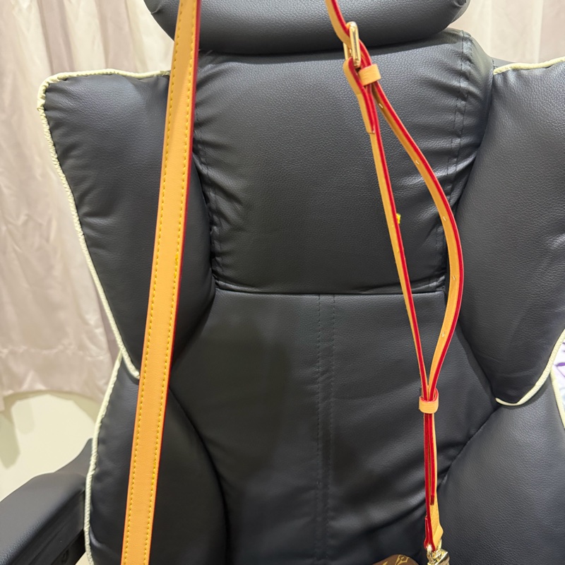 LV Speedy 25 手提款（已釘耳扣可以側背）-31