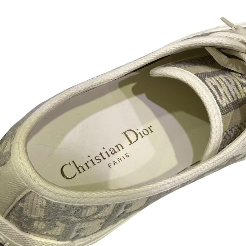 【美收精品】DIOR 石灰色老花平底鞋 2-256-10