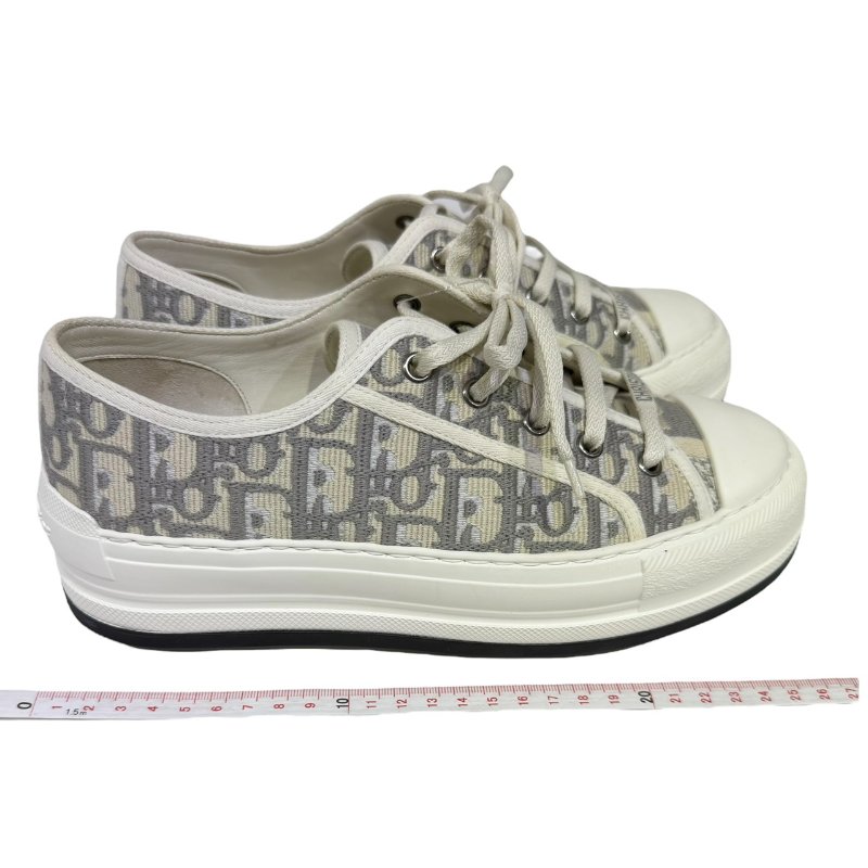 【美收精品】DIOR 石灰色老花平底鞋 2-256-13