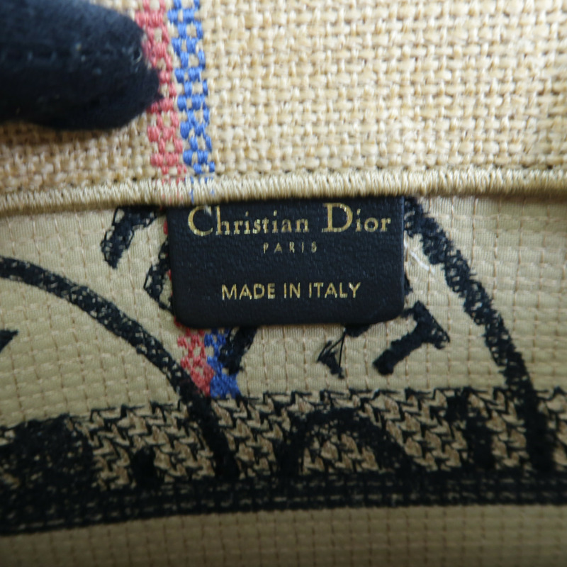Dior 帆布Handbag手挽袋-10