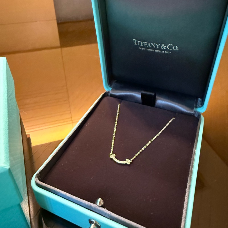 Tiffany  SMILE 微笑項鍊 18k 白金鑽石滿鑽項鍊-3