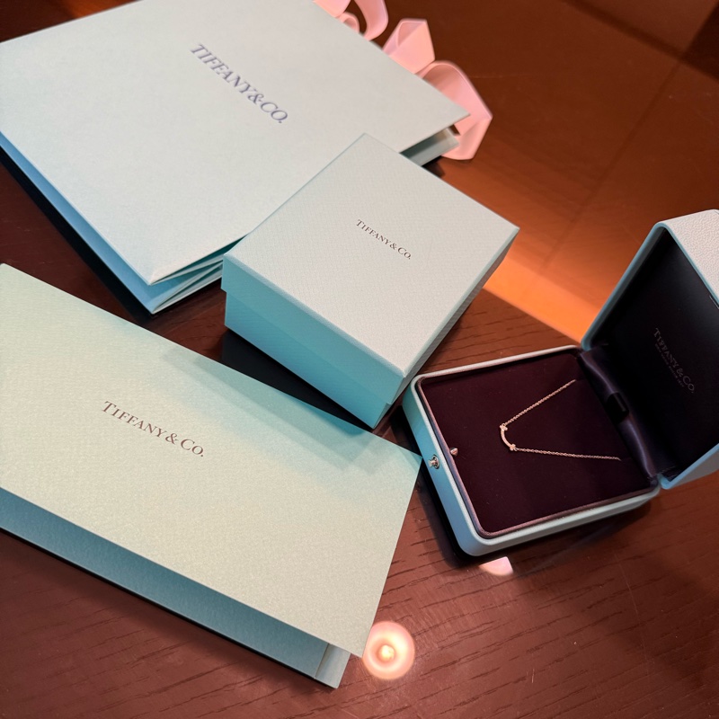 Tiffany  SMILE 微笑項鍊 18k 白金鑽石滿鑽項鍊-4