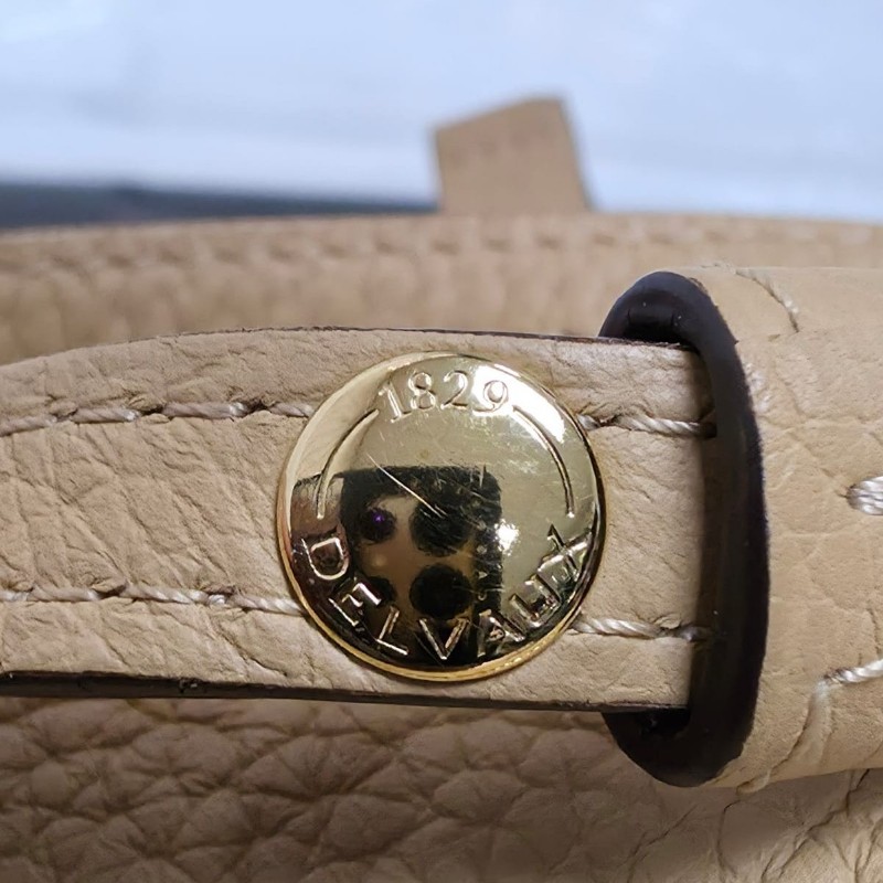 Delvaux Cool Box Nano-24