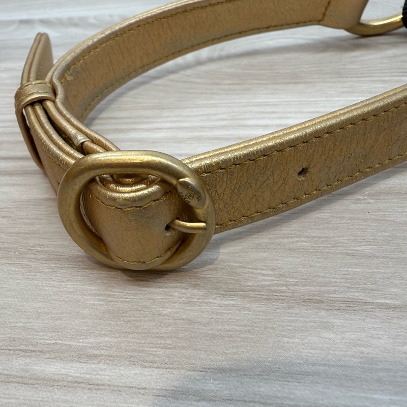 chanel金色小牛皮街頭塗鴉系列胸背包 AS0868-26