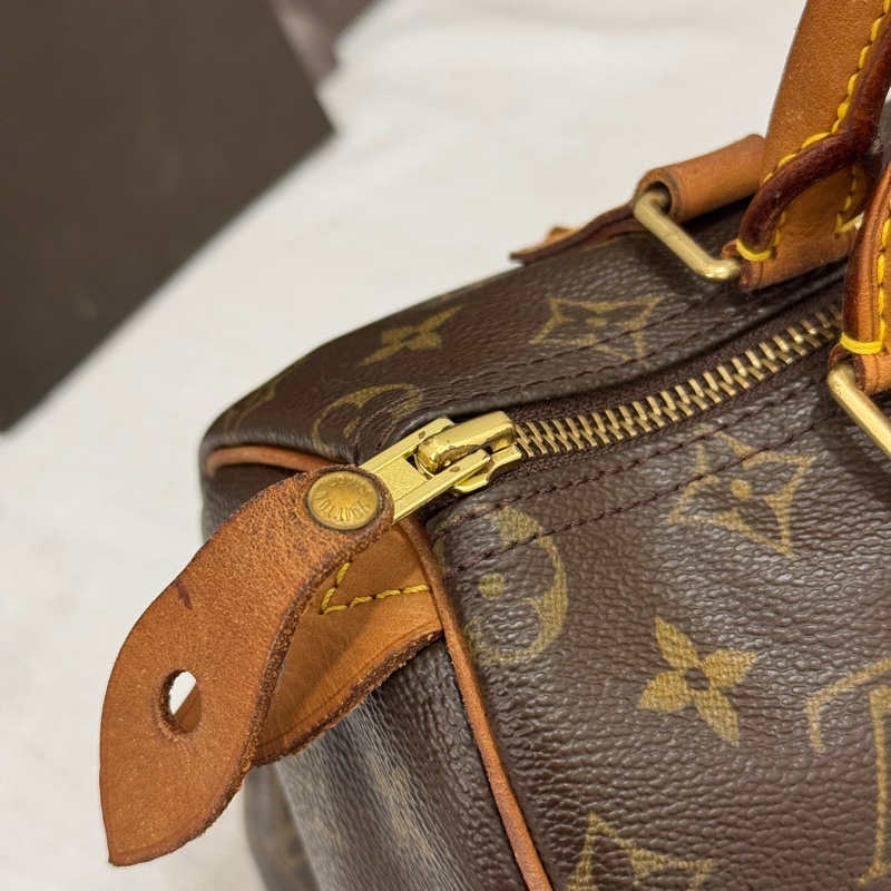 Louis Vuitton 老花SPEEDY 30-18