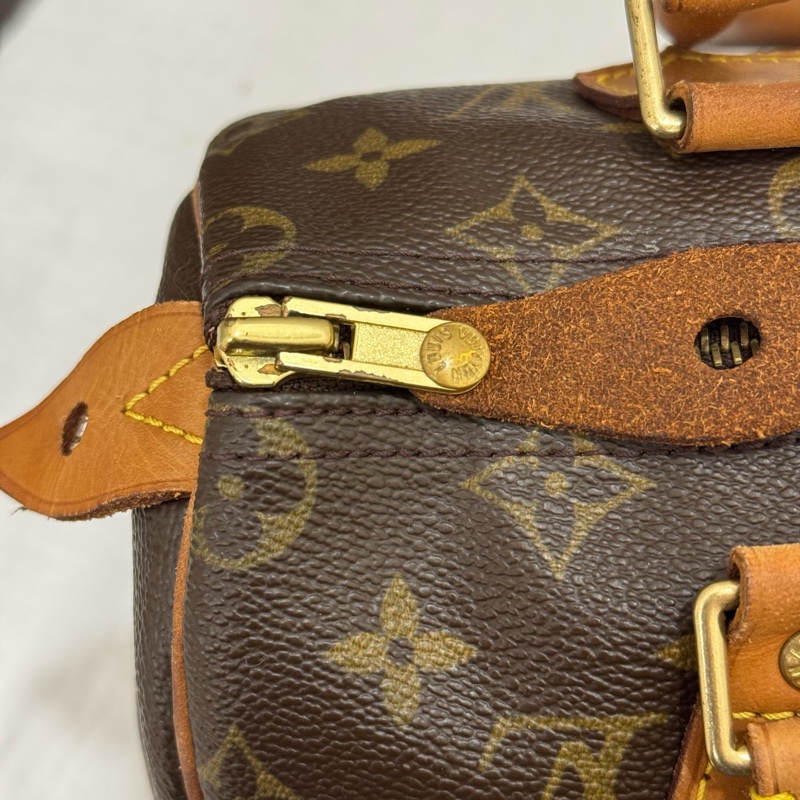 Louis Vuitton 老花SPEEDY 30-19