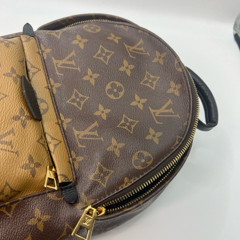 Louis Vuitton Palm Springs Monogram Reverse-17
