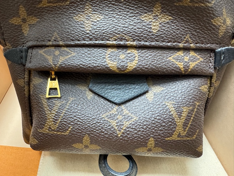 LV Palm Springs Mini迷你小背包-1