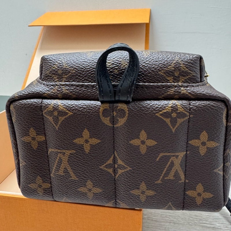 LV Palm Springs Mini迷你小背包-3