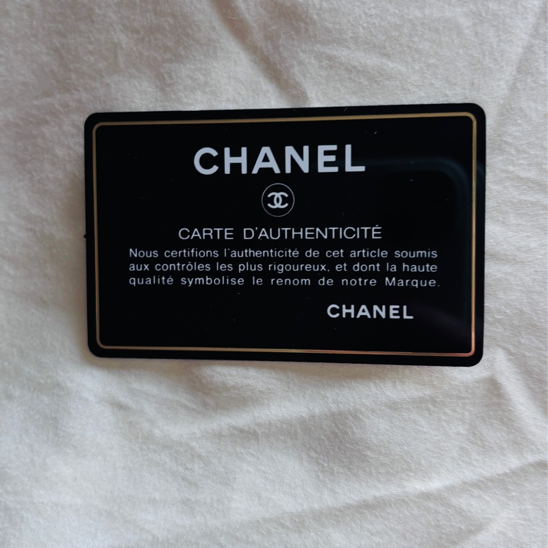 Chanel 經典口蓋珍珠皮穿鍊條包-12