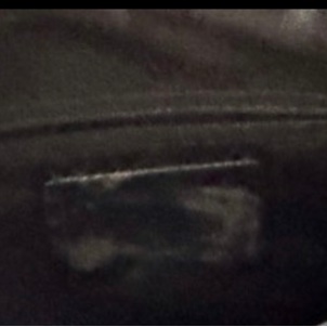 Coach 馬車系黑色皮製獸紋斜背/手提包-5