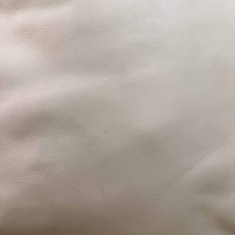 🌸 Chanel稀有玳瑁托特包｜慵懒随性也太好背｜老香控-32